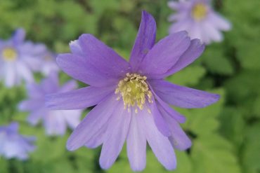 Un soin d’hiver énergétique