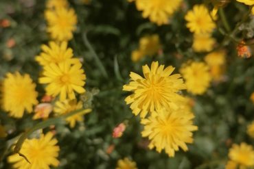 Les bienfaits du massage d’Automne